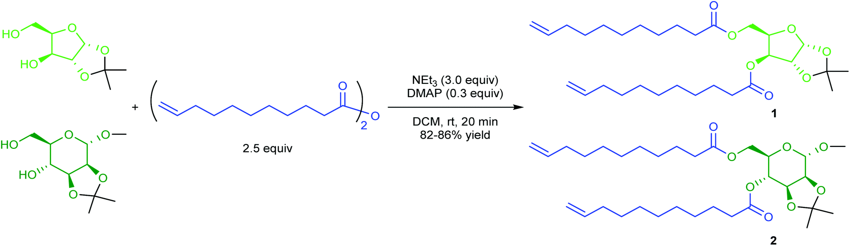 Polymers from sugars and unsaturated fatty acids ADMET polymerisation of monomers derived from