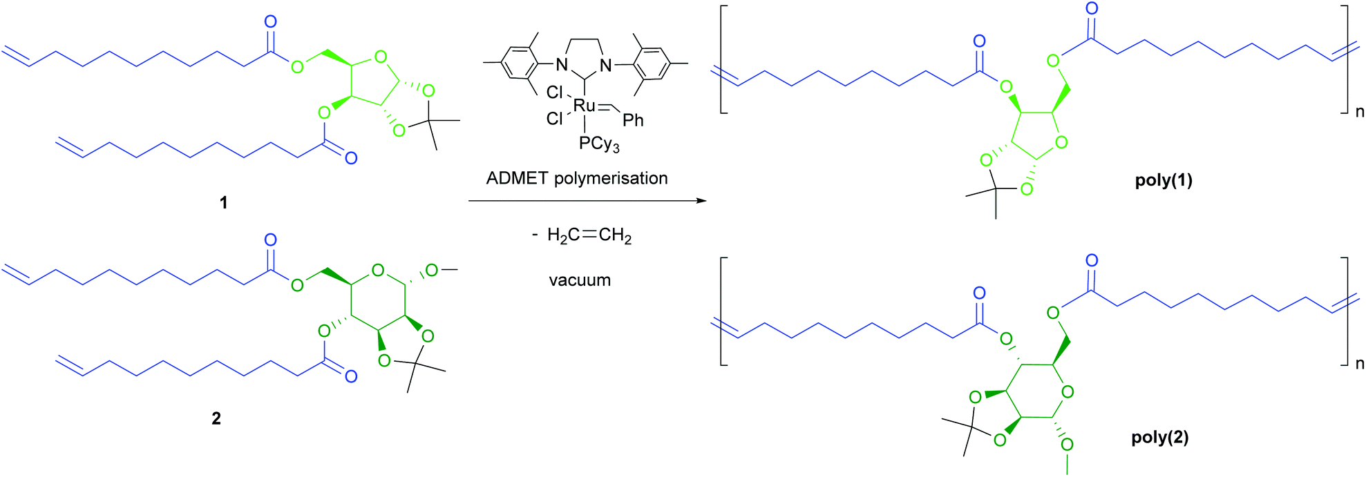 Polymers from sugars and unsaturated fatty acids ADMET polymerisation of monomers derived from