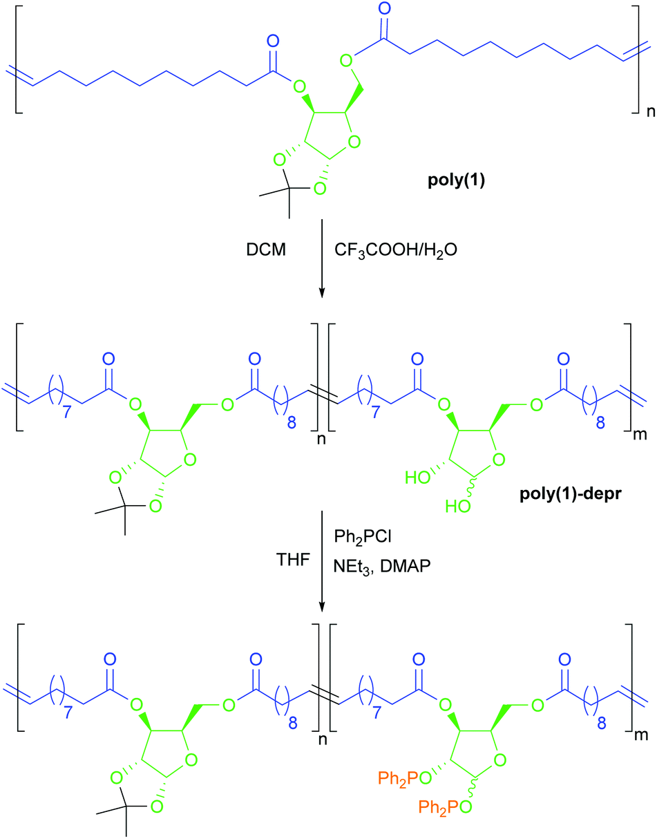 Polymers from sugars and unsaturated fatty acids ADMET polymerisation of monomers derived from