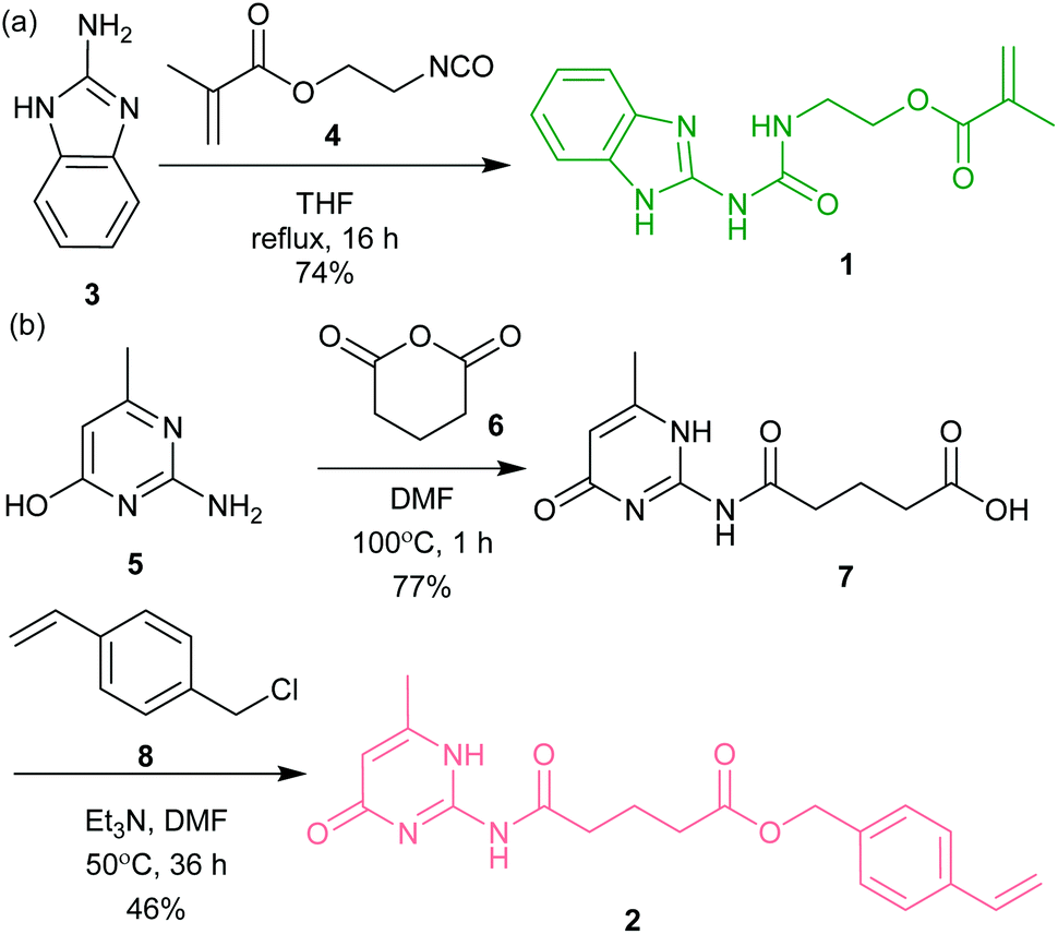 Acetic Acid, Ricinoleic Acid and Oxyquinoline Vaginal Pictures