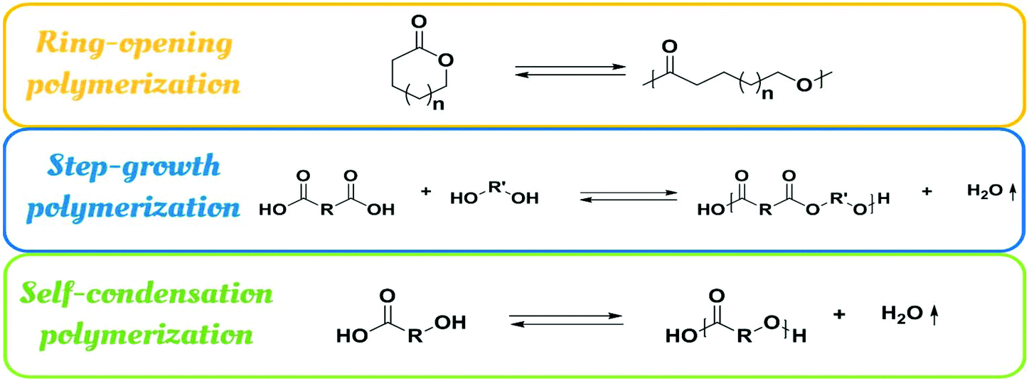 Poly Hydroxy Acids Derived From The Self Condensation Of Hydroxy Acids From Polymerization To End Of Life Options Polymer Chemistry Rsc Publishing