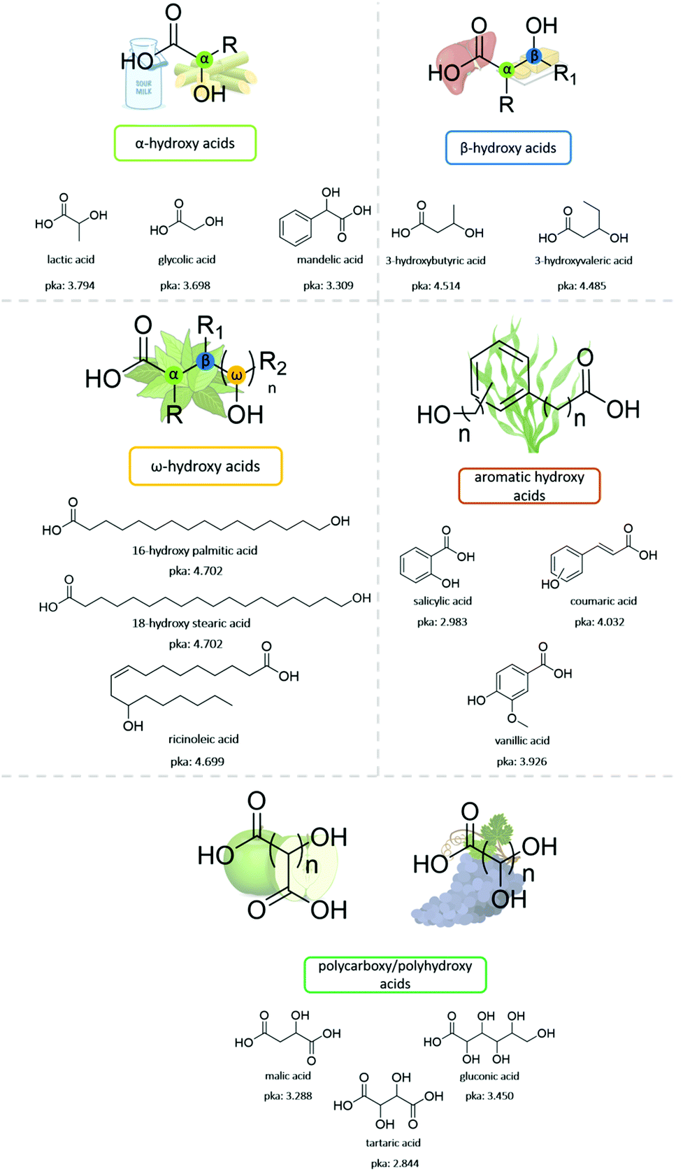 Poly Hydroxy Acids Derived From The Self Condensation Of Hydroxy Acids From Polymerization To End Of Life Options Polymer Chemistry Rsc Publishing