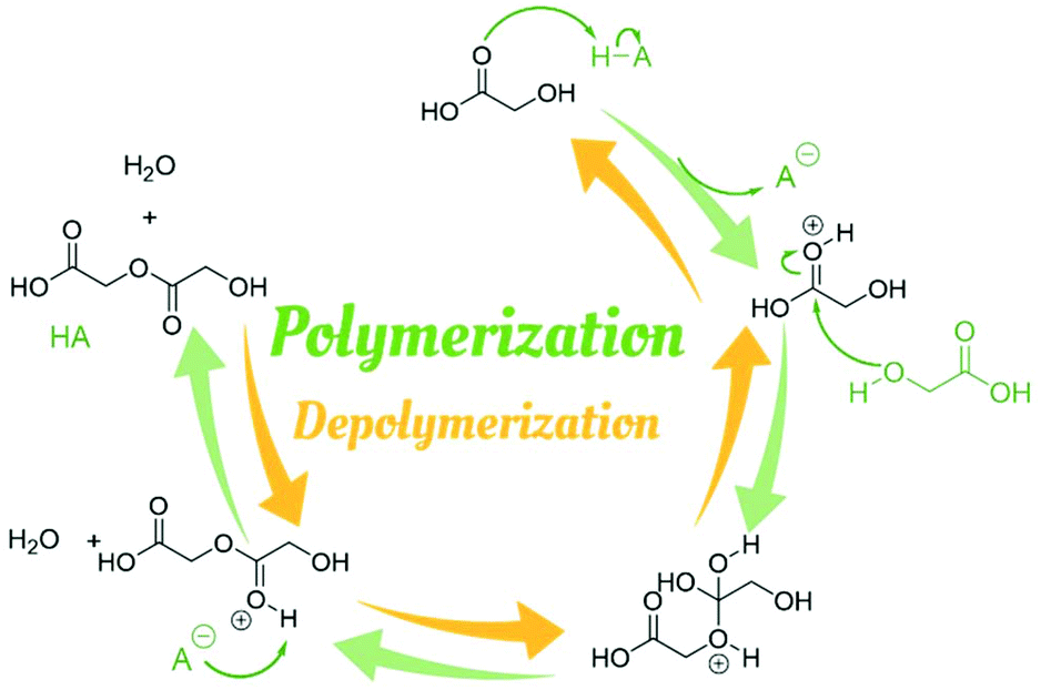 Poly Hydroxy Acids Derived From The Self Condensation Of Hydroxy Acids From Polymerization To End Of Life Options Polymer Chemistry Rsc Publishing