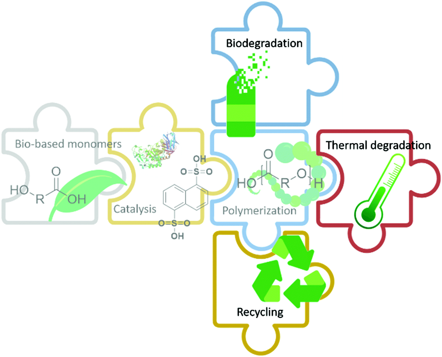 Complex polymeric polyhydroxy acids