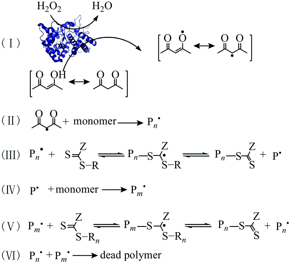 Polymerization Techniques In Polymerization Induced Self Assembly Pisa Polymer Chemistry Rsc Publishing
