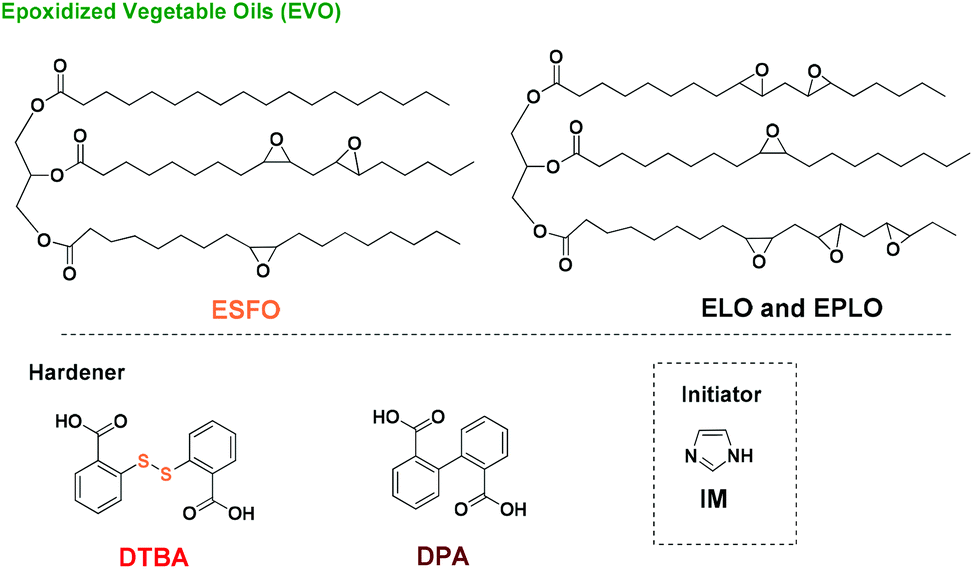 Monitoring the structurereactivity relationship in epoxidized perilla