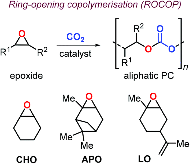 From Terpenes To Sustainable And Functional Polymers Polymer Chemistry Rsc Publishing