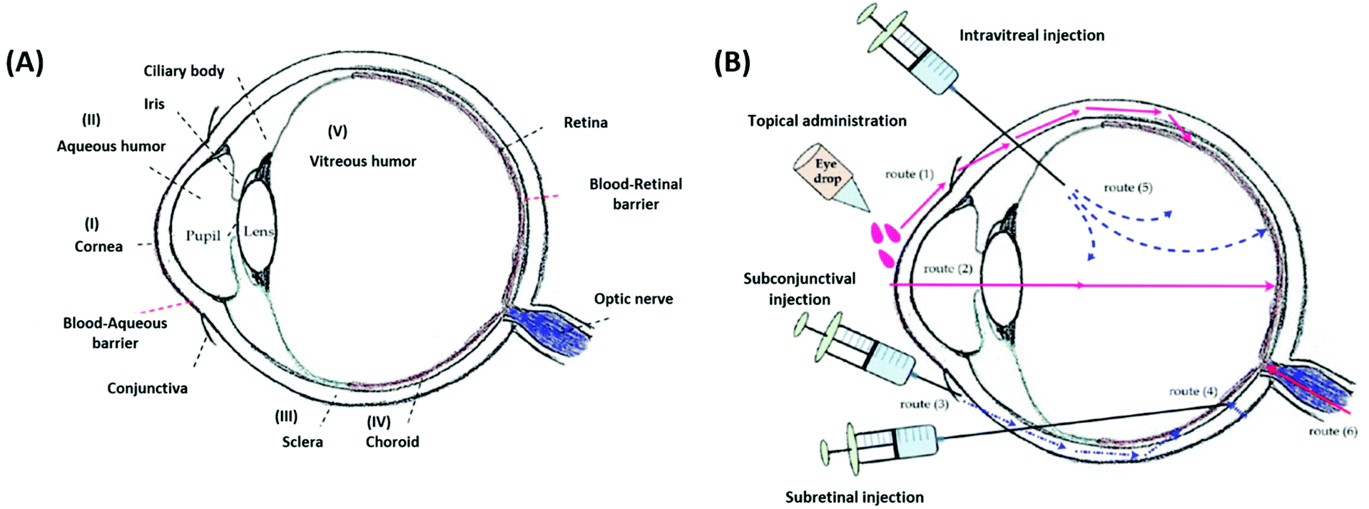 Advancing the stimuli response of polymer-based drug delivery systems ...