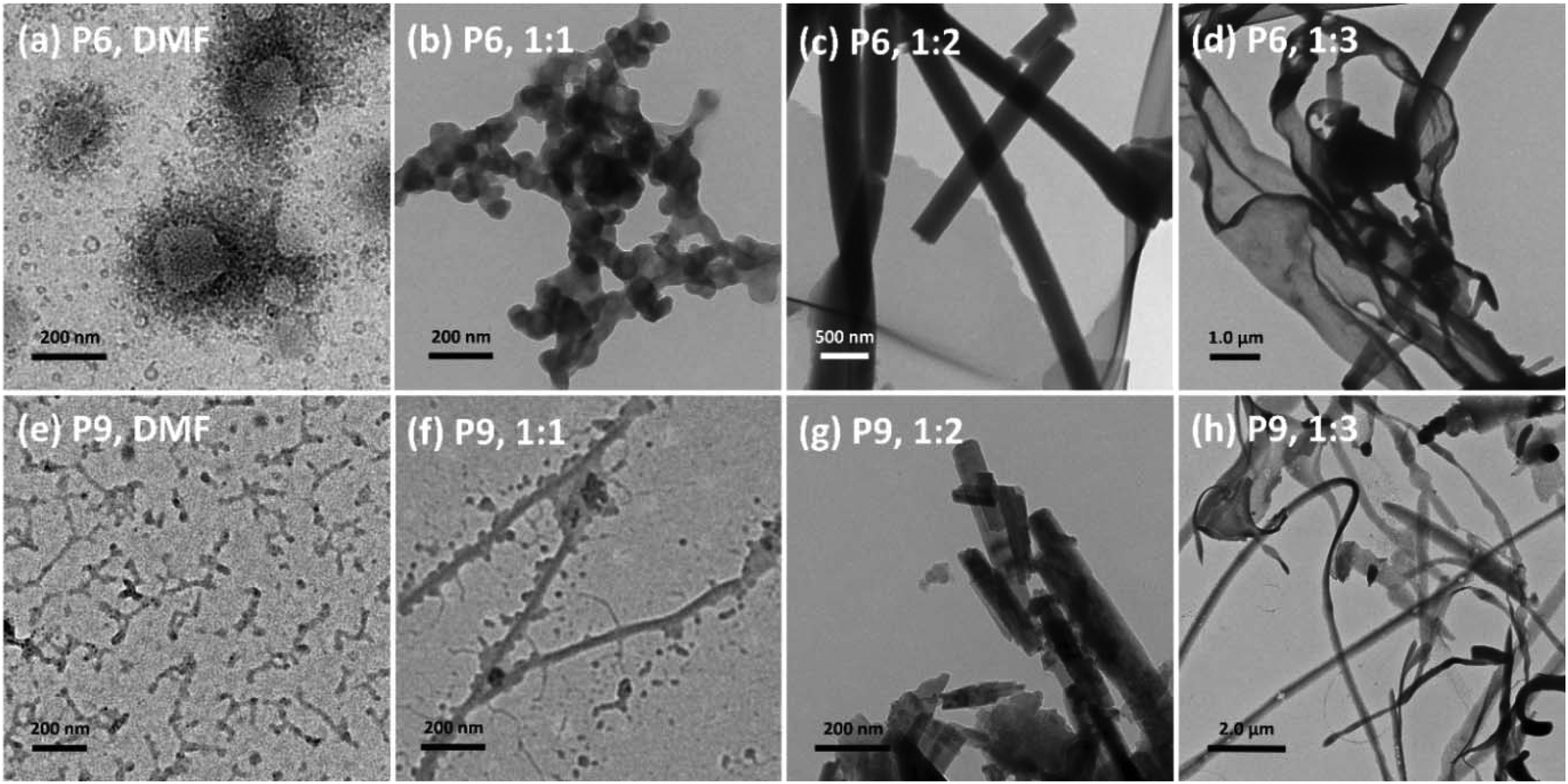 Rational Design Of Nonlinear Crystalline Amorphous Responsive Terpolymers For Ph Guided Fabrication Of 0d 3d Nano Objects Polymer Chemistry Rsc Publishing