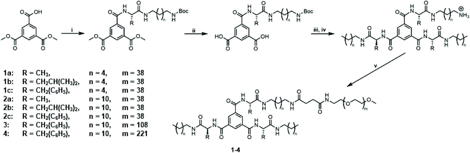 Impact Of Amino Acids On The Aqueous Self Assembly Of Benzenetrispeptides Into Supramolecular Polymer Bottlebrushes Polymer Chemistry Rsc Publishing
