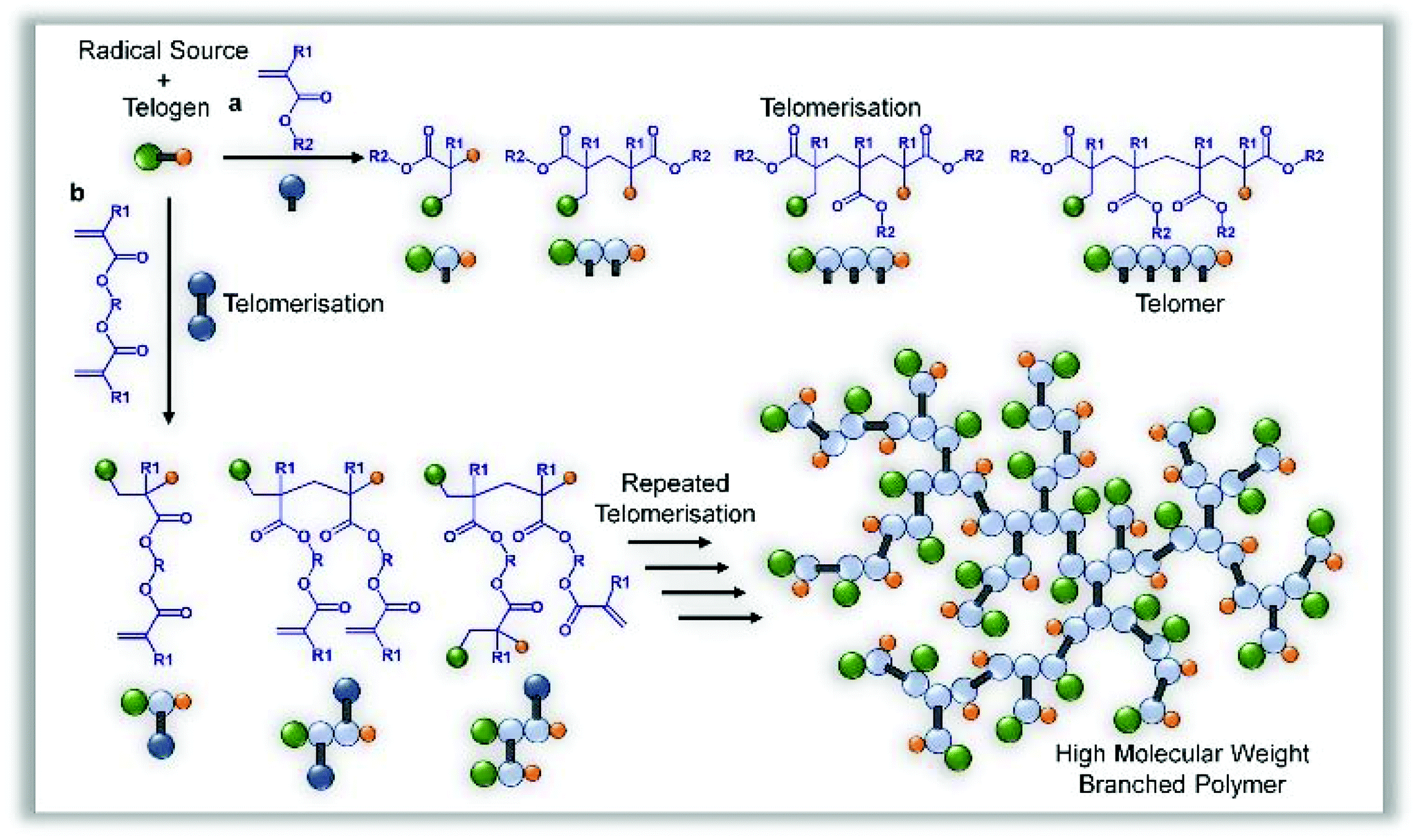 Hyperbranched Polymers With Step-growth Chemistries From Transfer ...