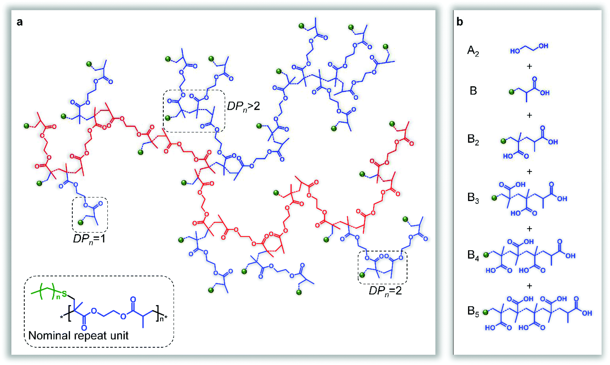 Hyperbranched polymers with step-growth chemistries from transfer ...