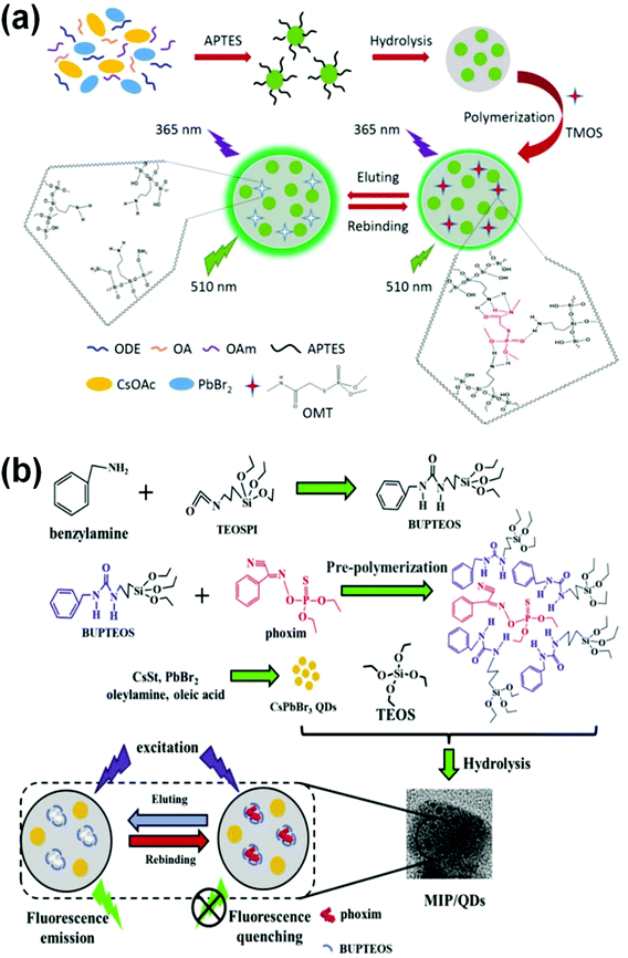 Perovskite nanomaterials as optical and electrochemical sensors ...