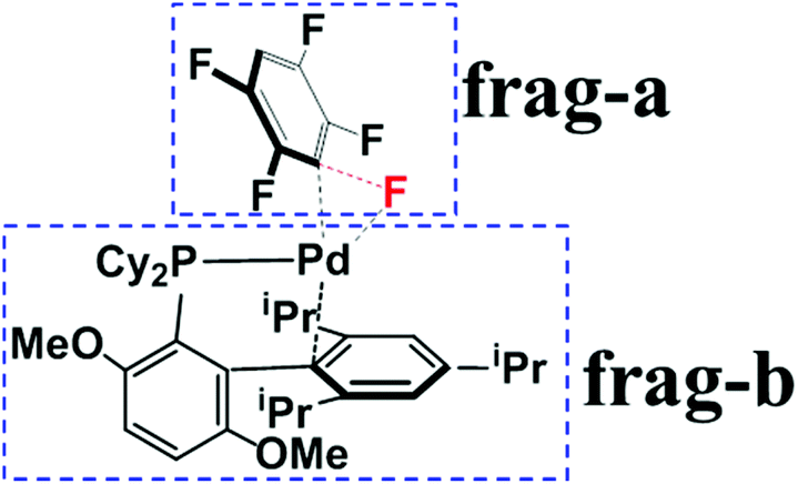 C F Bond Arylation Of Fluoroarenes Catalyzed By Pd0 Phosphine Complexes Theoretical Insight Into Regioselectivity Reactivity And Prediction Of Ligands Organic Chemistry Frontiers Rsc Publishing