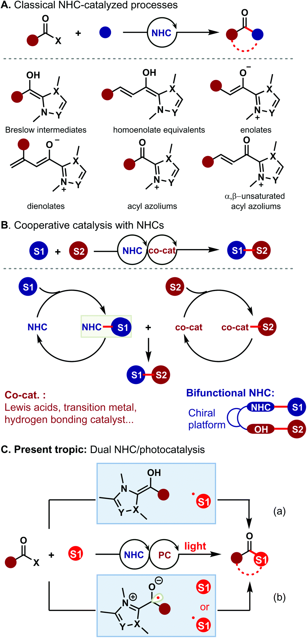 Dual N Heterocyclic Carbene Photocatalysis A New Strategy For Radical Processes Organic Chemistry Frontiers Rsc Publishing