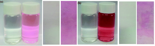 Two novel colorimetric fluorescent probes: Hg 2+ and Al 3+ in the ...