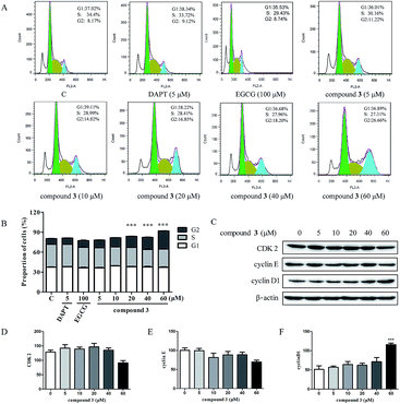 The oxidation of (−)-epigallocatechin-3-gallate inhibits T-cell acute ...