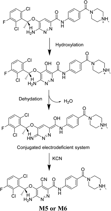 Phase I Metabolic Profiling And Unexpected Reactive Metabolites In