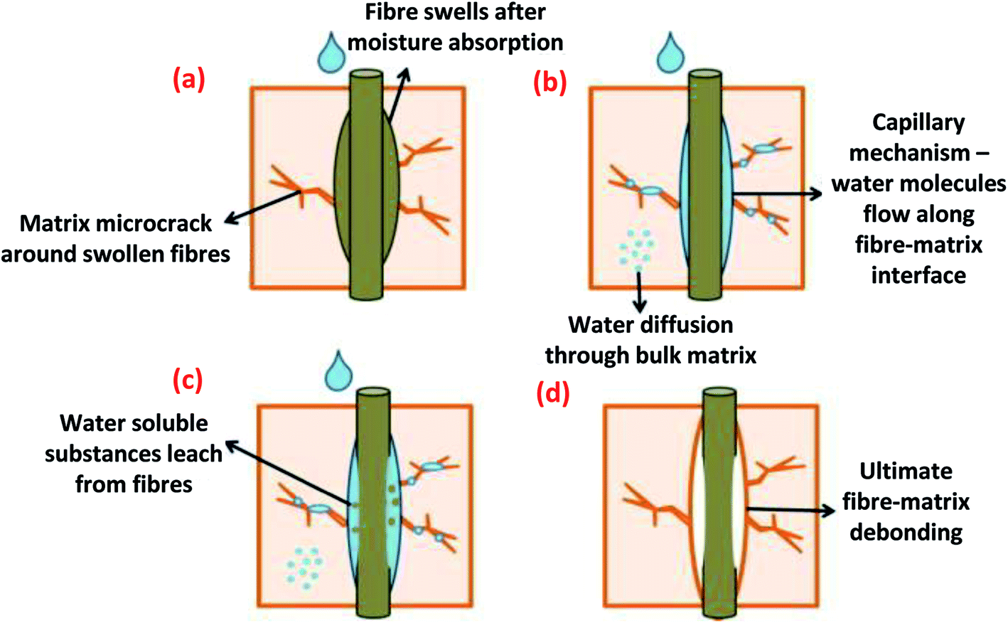 Studies on durability of sustainable biobased composites: a review ...