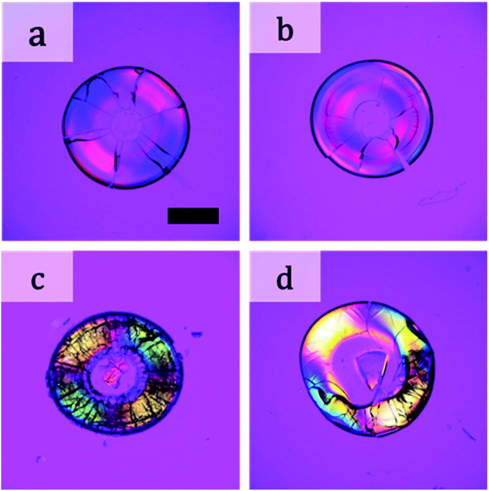 birefringence in zemax latest birefringence in zemax latest
