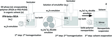 Sustained in vitro interferon-beta release and in vivo toxicity of PLGA ...