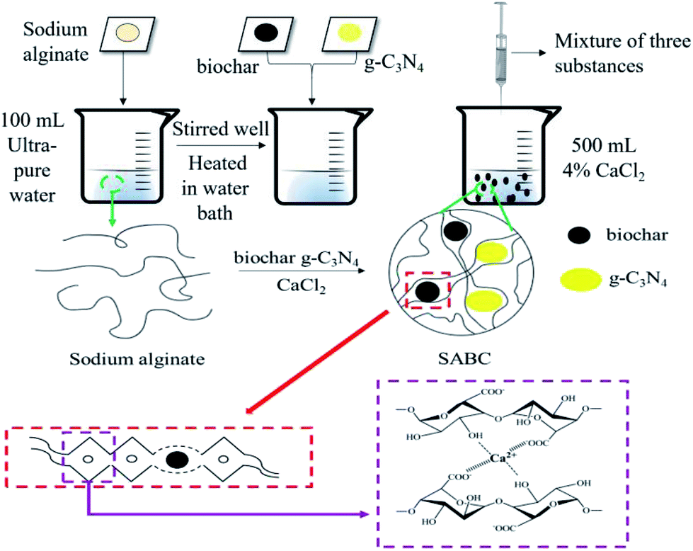 Three Dimensional Microspheric G C3n4 Coupled By Broussonetia Papyrifera Biochar Facile Sodium Alginate Immobilization And Excellent Photocatalytic Cr Iv Reduction Rsc Advances Rsc Publishing