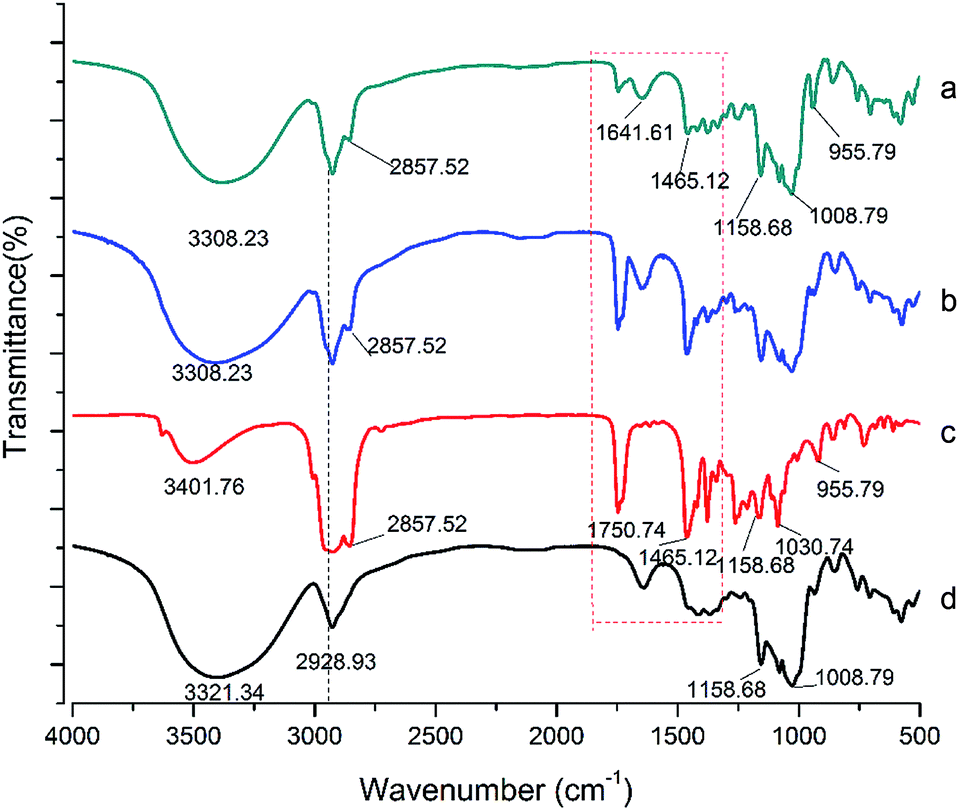 The characterization and evaluation of the synthesis of large-ring ...