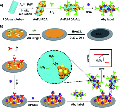 Electrochemical immunosensor based on AuBP@Pt nanostructure and AuPd ...