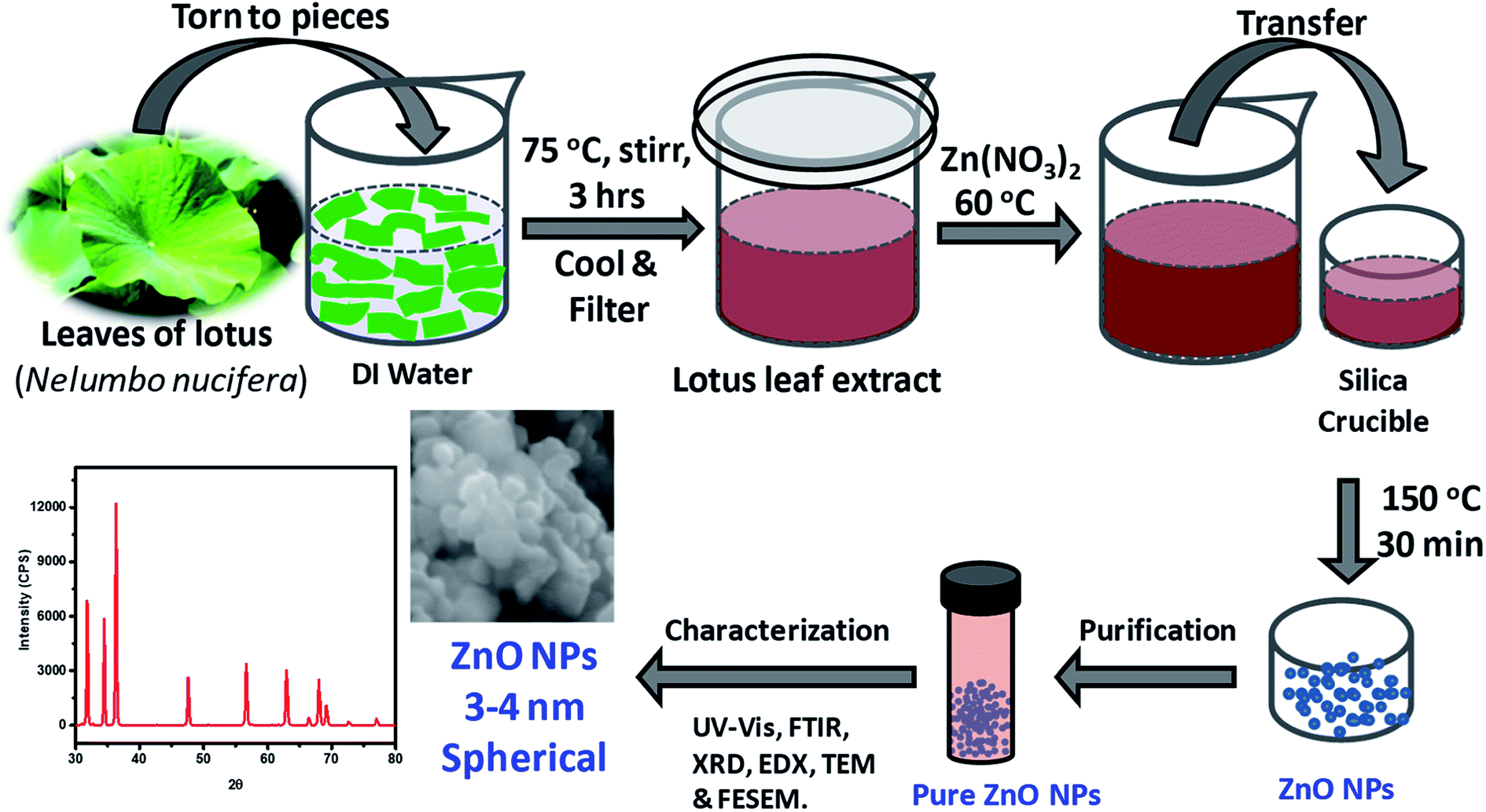 green synthesis of zno nanoparticles thesis