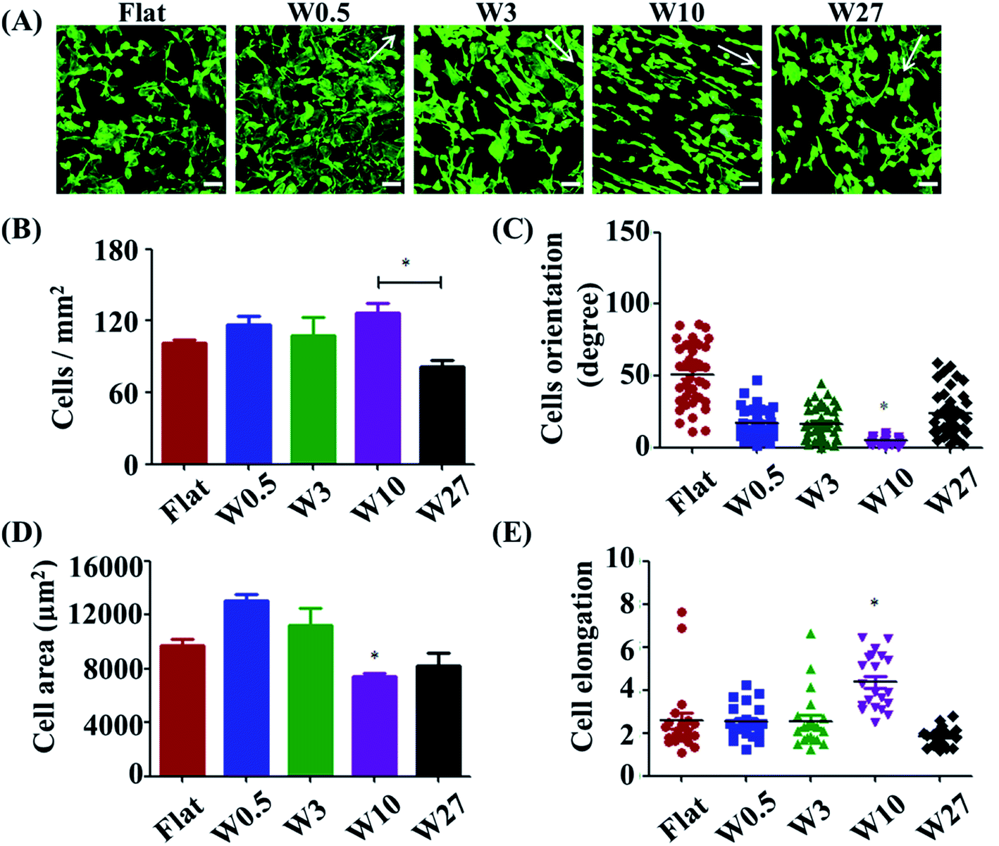 Biointerface topography mediates the interplay between endothelial