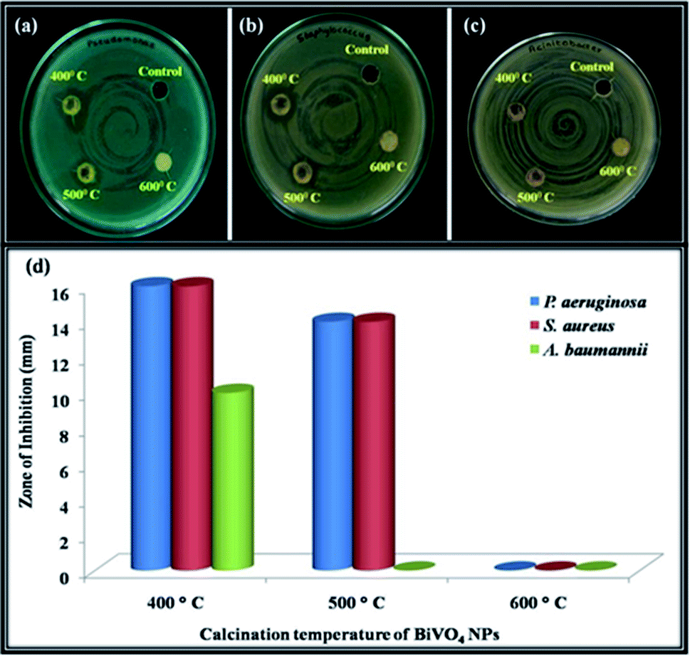Synthesis And Characterization Of Bivo4 Nanoparticles For Environmental Applications Rsc Advances Rsc Publishing
