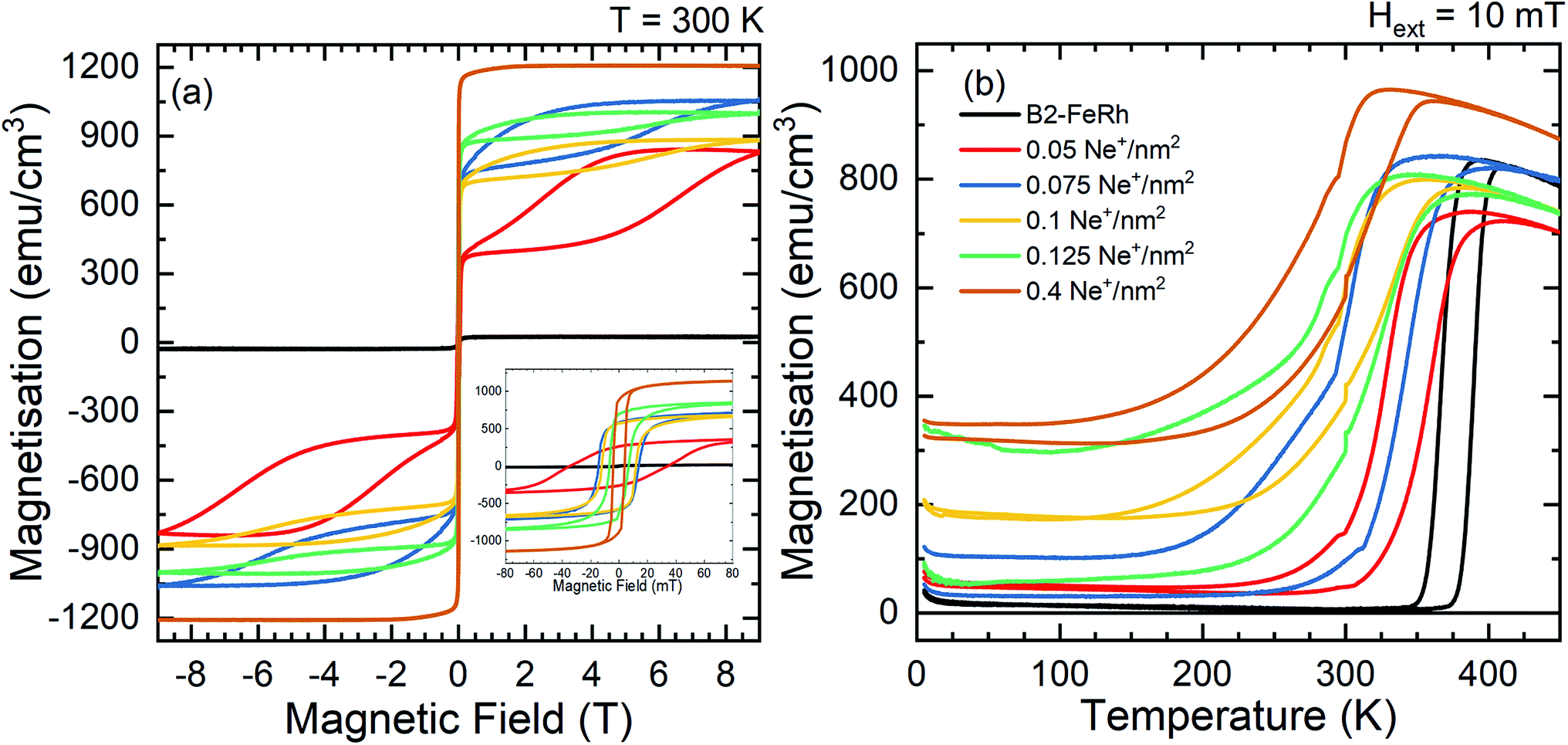 Magnetic field of the neutral zona