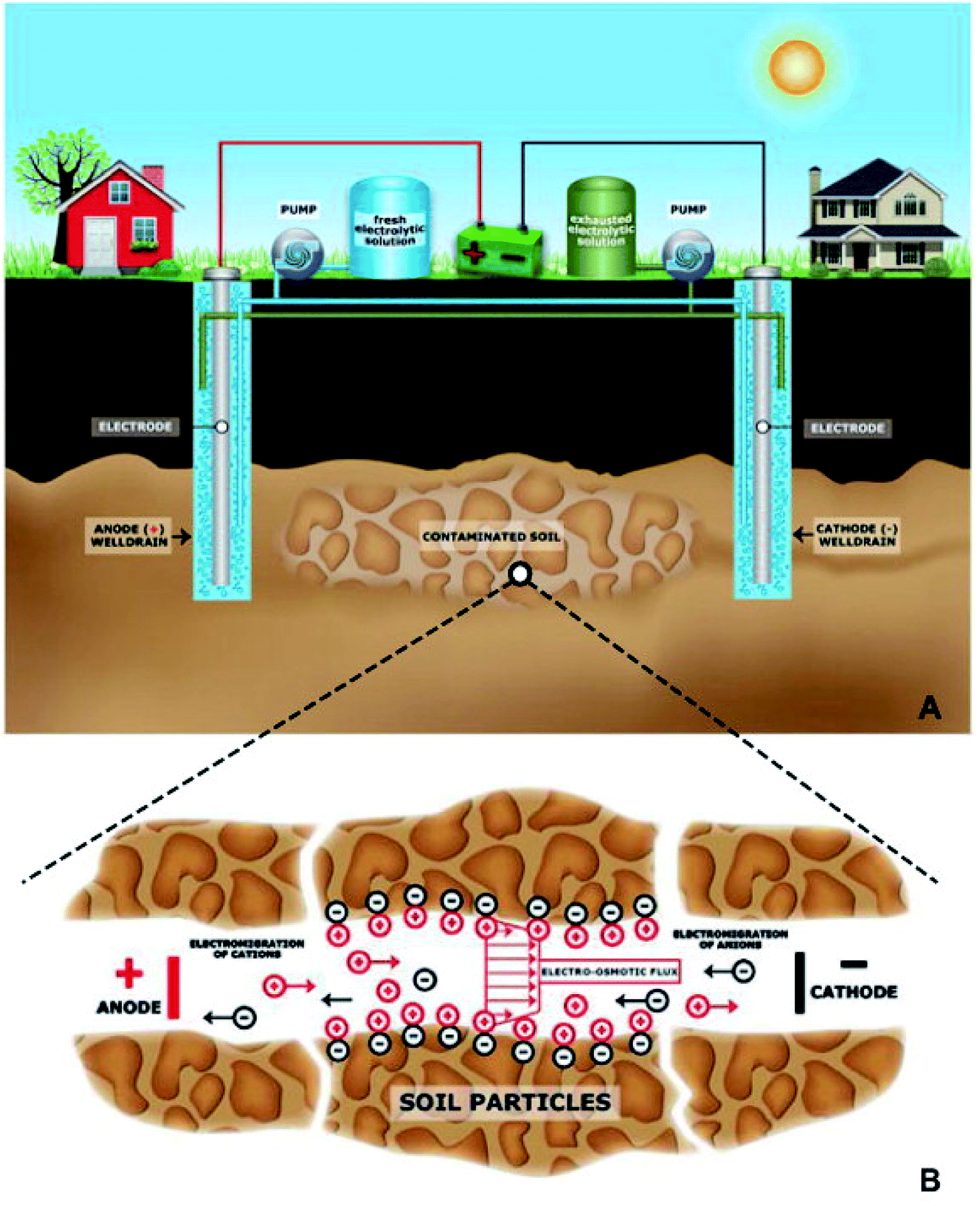 Soil Remediation