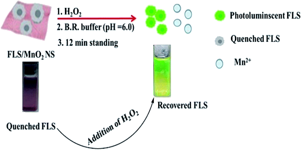 One Pot Fabrication Of Fluorescein Functionalized Manganese Dioxide For Fluorescence Turn Off On Sensing Of Hydrogen Peroxide In Water And Cosmetic Samples Rsc Advances Rsc Publishing