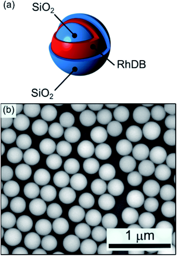 Core–shell Silica–rhodamine B Nanosphere For Synthetic Opals: From ...