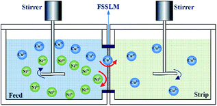 Highly efficient and selective membrane separation of copper from ...