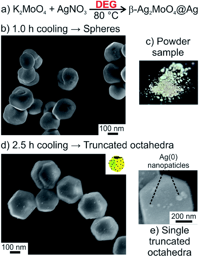 Facet Composition And Wavelength Dependent Photocatalysis Of Ag2moo4 Rsc Advances Rsc Publishing