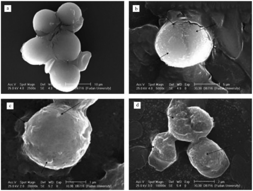 Application Progress Of Enhanced Coagulation In Water Treatment Rsc Advances Rsc Publishing 3120