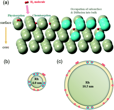 Hydrogen absorption and desorption on Rh nanoparticles revealed by in ...