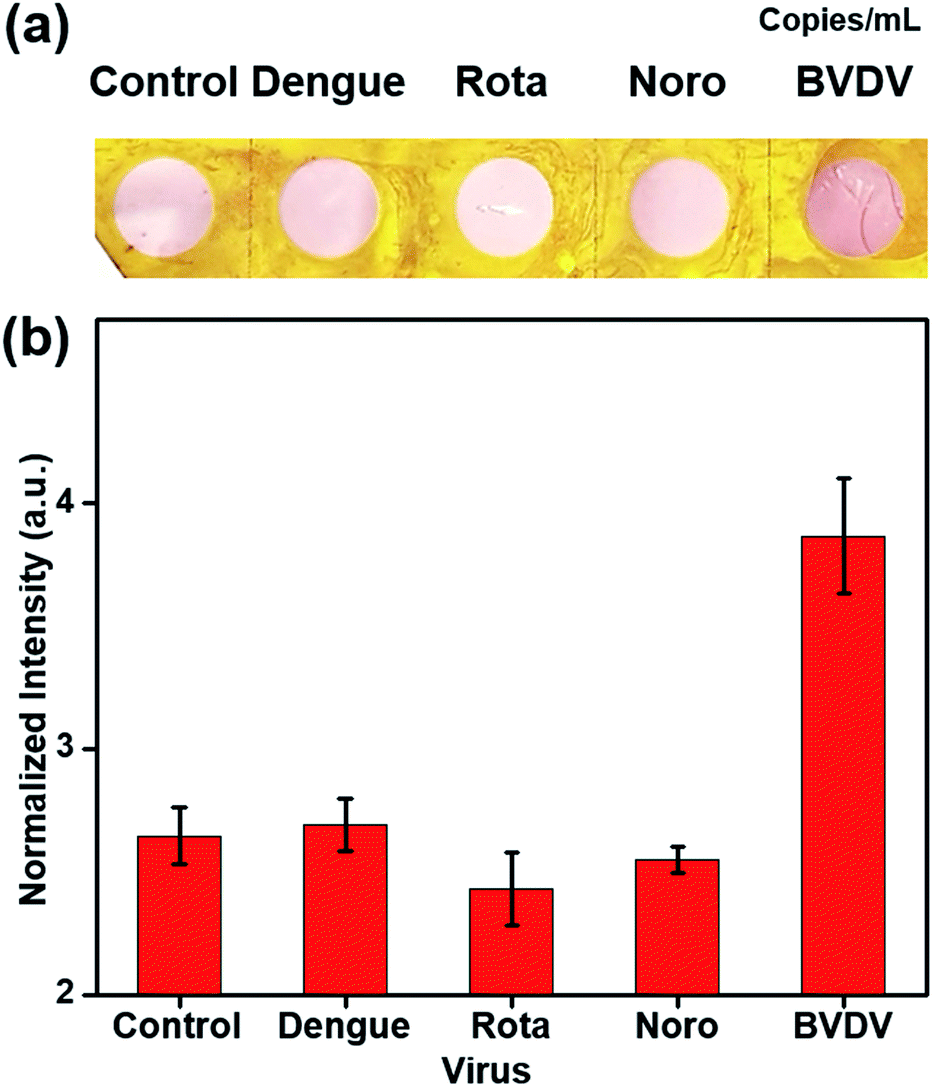 Fabrication Of A Paper Strip For Facile And Rapid Detection Of Bovine Viral Diarrhea Virus Via Signal Enhancement By Copper Polyhedral Nanoshells Rsc Advances Rsc Publishing