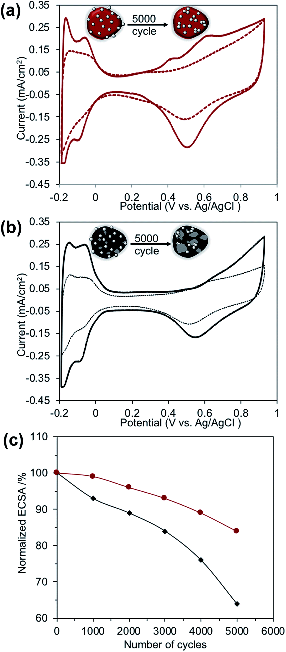 Poly Bipyridine Bibenzimidazole Functionalization Of