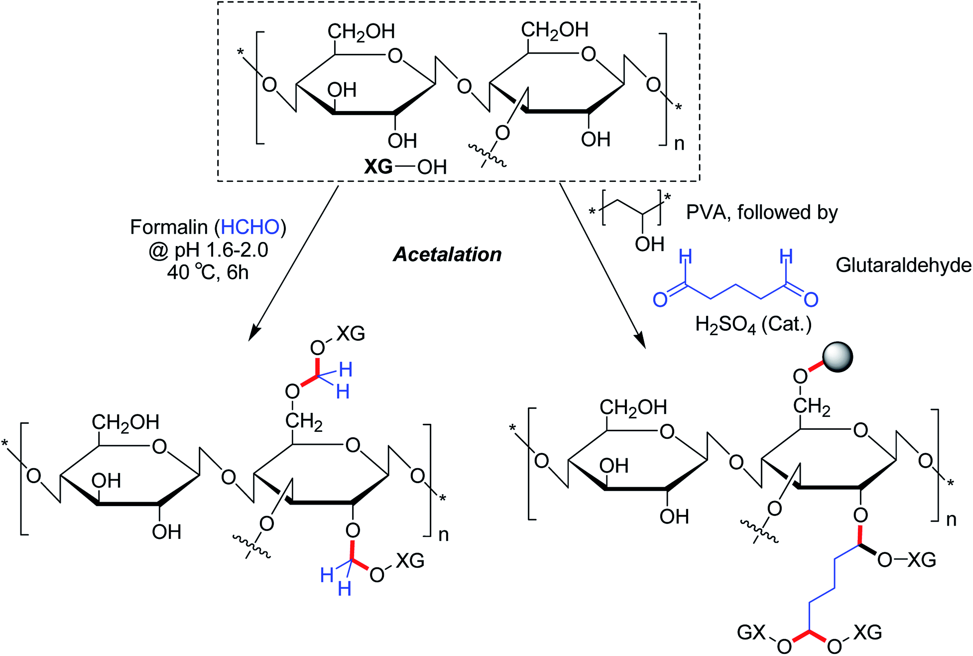 Xanthan Gum Derivatives Review Of Synthesis Properties And Diverse Applications Rsc Advances Rsc Publishing