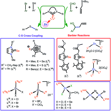 Catalytically Active Coordination Polymer With A Tiny Zn2se2 Ring Bridged By Bis Selone Rsc Advances Rsc Publishing