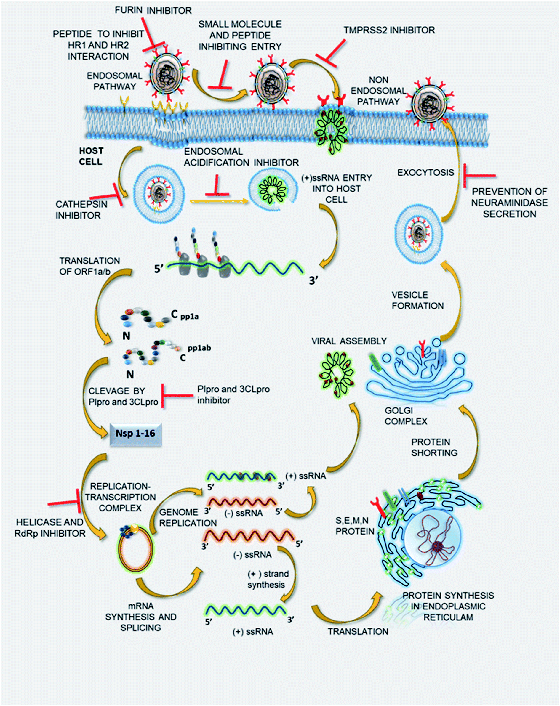 An Overview Of Key Potential Therapeutic Strategies For Combat In The Covid 19 Battle Rsc Advances Rsc Publishing