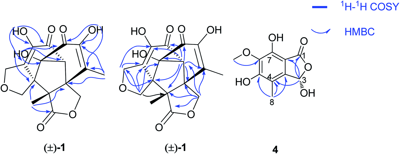 Fused multicyclic polyketides with a two-spiro-carbon skeleton from