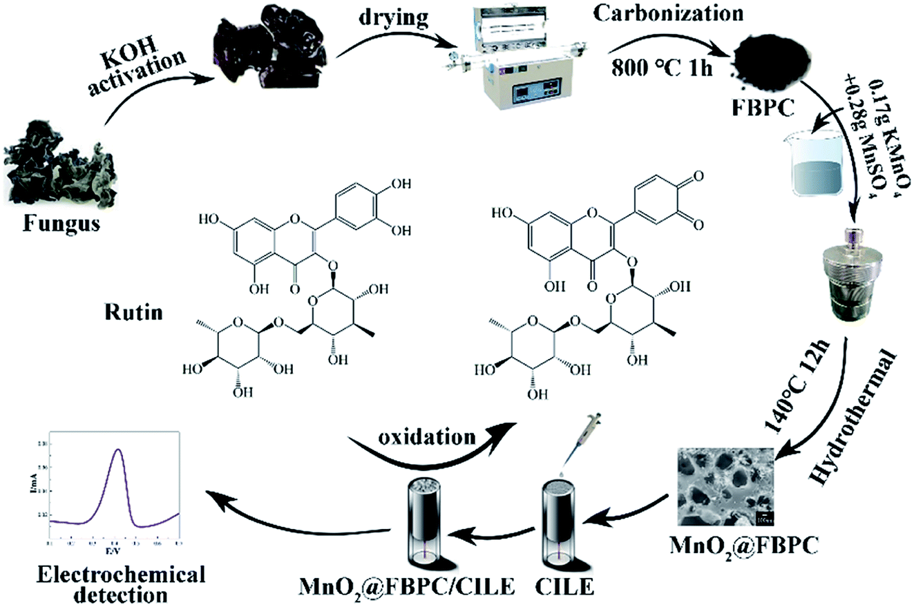 A Fungus Derived Biomass Porous Carbon Mno2 Nanocomposite Modified Electrode For The Voltammetric Determination Of Rutin Rsc Advances Rsc Publishing