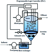 The impact of temperature and dissolved oxygen (DO) on the partial ...