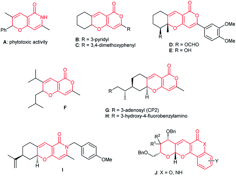 Eco Friendly Synthesis Of Fused Pyrano 2 3 B Pyrans Via Ammonium Acetate Mediated Formal Oxa 3 3 Cycloaddition Of 4h Chromene 3 Carbaldehydes And Cyclic 1 3 Dicarbonyl Compounds Rsc Advances Rsc Publishing