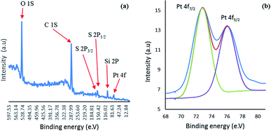 Ultrafine Pt Nanoparticles Supported On A Dendrimer Containing Thiol ...