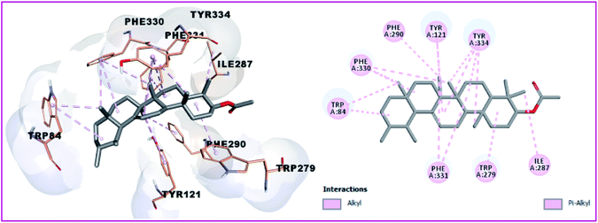 Isolation and characterization of novel acetylcholinesterase inhibitors ...